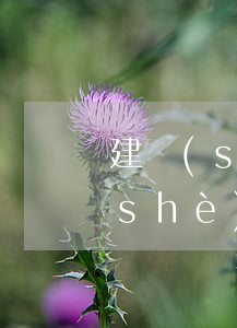 建設(shè)信用卡逾期能申請嗎(建設(shè)信用卡逾期一天會怎樣)