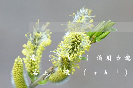 建設(shè)信用卡逾期說(shuō)要上門核實(shí)信息-信用卡 逾期 通知