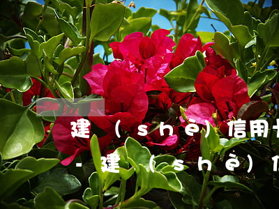 建設(shè)信用卡逾期違約金利息太高-建設(shè)信用卡逾期違約金利息太高怎么辦