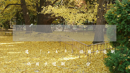 建設(shè)信用卡逾期違約金利息太高(信用卡逾期違約金)
