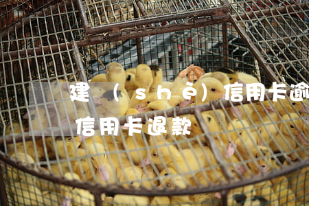 建設(shè)信用卡逾期違約金退回(建行信用卡 退款)