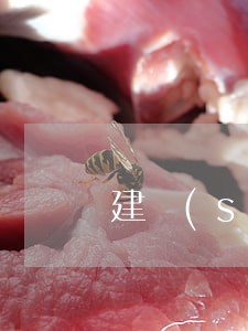 建設(shè)信用卡逾期還不上