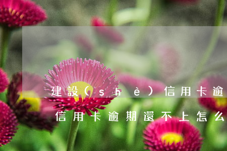 建設(shè)信用卡逾期還不起怎么辦(欠信用卡逾期還不上怎么辦)
