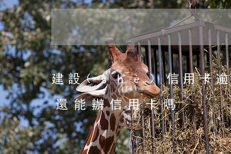 建設(shè)信用卡逾期還后能用嗎(逾期還能辦信用卡嗎?)