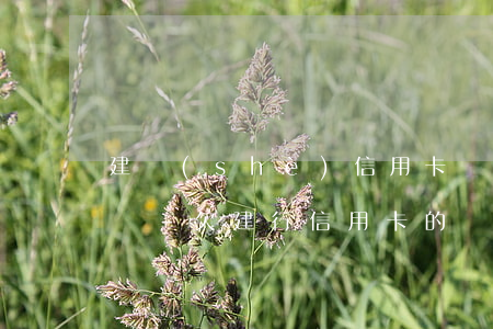 建設(shè)信用卡還不上怎么做停息掛賬-欠建行信用卡的錢(qián)有什么辦法讓建行不會(huì)從儲(chǔ)蓄卡里扣錢(qián)
