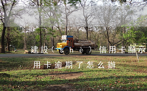 建設(shè)信用卡顯示已逾期(建行的信用卡逾期了怎么辦)