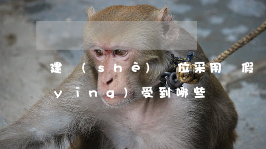 建設(shè)單位采用虛假證明文件應(yīng)受到哪些處罰