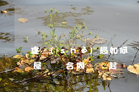 建設(shè)局如何處理購房合同糾紛(房屋購買合同糾紛起訴)