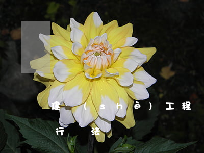 建設(shè)工程價款結(jié)算暫行辦法