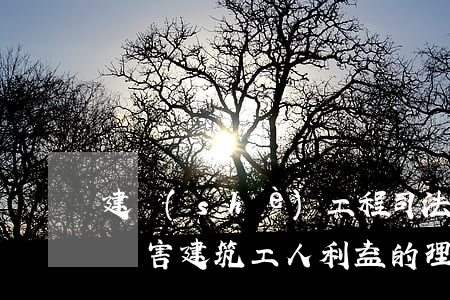 建設(shè)工程司法解釋二第23條中“損害建筑工人利益”的理解與把握｜審判研究