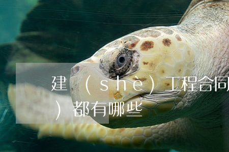 建設(shè)工程合同糾紛案證據(jù)都有哪些