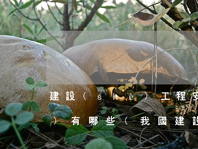 建設(shè)工程安全法律法規(guī)有哪些(我國建設(shè)工程安全生產(chǎn)的法律和行政法規(guī)有哪些)