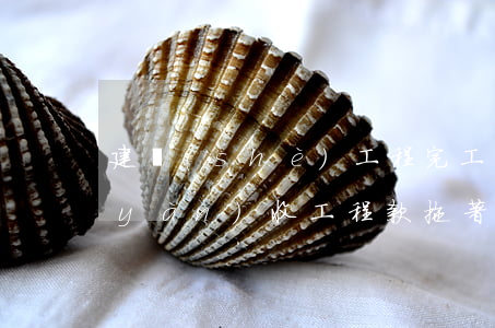 建設(shè)工程完工后,甲方遲遲不驗(yàn)收，工程款拖著不給，如何處理
