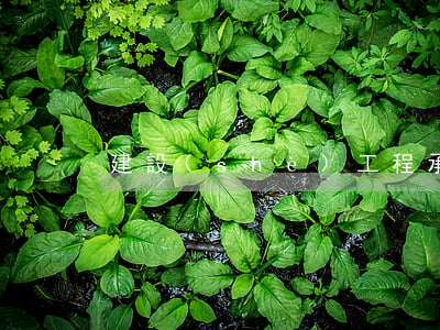 建設(shè)工程承包合