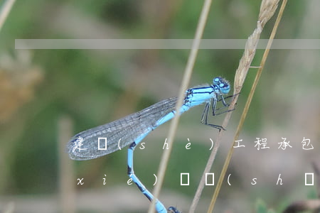 建設(shè)工程承包合同(承包工程協(xié)議書(shū))