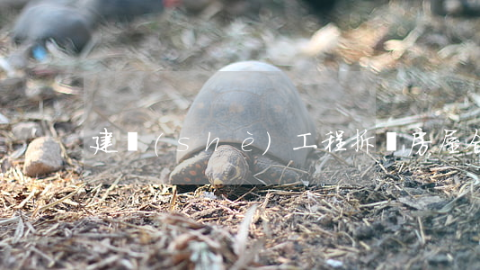 建設(shè)工程拆遷房屋合同