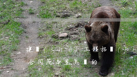 建設(shè)工程招標(biāo)代理合同范本是怎樣的