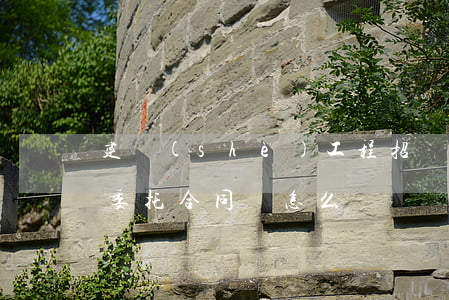 建設(shè)工程招標(biāo)代理委托合同書怎么寫