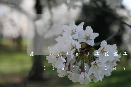 建設(shè)工程施工合同無效時的法律實(shí)務(wù)探析