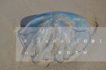 建設(shè)工程施工合同熱點(diǎn)問題解答系列
