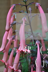 建設(shè)工程施工合同糾紛案中的造價(jià)司法鑒定