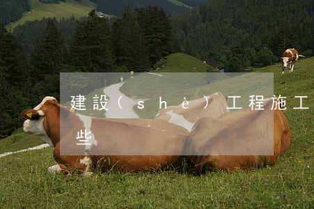 建設(shè)工程施工合同糾紛范圍有哪些