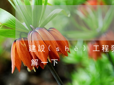 建設(shè)工程發(fā)包的紅線了解一下