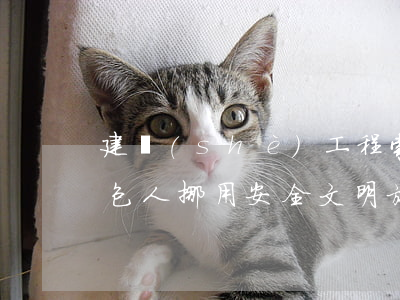 建設(shè)工程索賠與反索賠案例之：承包人挪用安全文明施工費