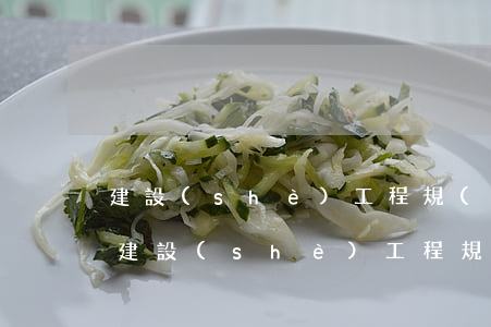 建設(shè)工程規(guī)劃許可證(建設(shè)工程規(guī)劃許可證管理辦法)