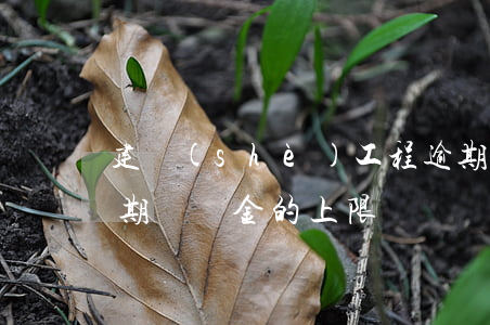 建設(shè)工程逾期違約金上限(工程逾期違約金的上限)