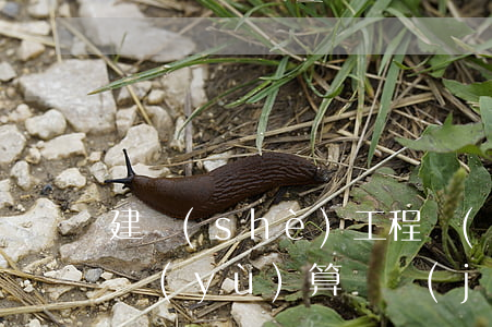 建設(shè)工程項(xiàng)目的預(yù)算審計(jì)風(fēng)險(xiǎn)如何防范