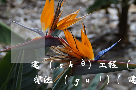 建設(shè)工程領(lǐng)域的法律法規(guī)(建筑工程涉及的法律,法規(guī)有哪些)