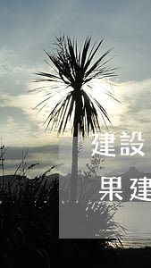 建設(shè)快貸逾期一個(gè)月后果(建行快貸逾期一天會(huì)影響以后的貸款嗎)