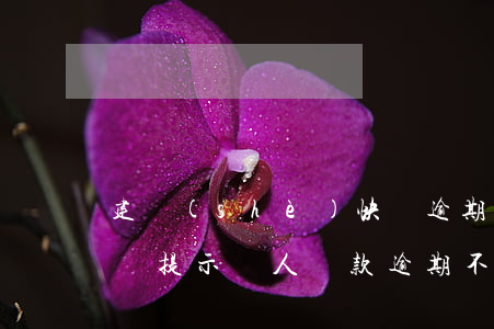 建設(shè)快貸逾期不能申請表(建行快貸提示個人貸款逾期,不能申請)