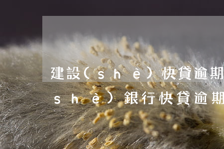 建設(shè)快貸逾期了怎么還款(建設(shè)銀行快貸逾期幾個(gè)月還進(jìn)去還能借嗎)