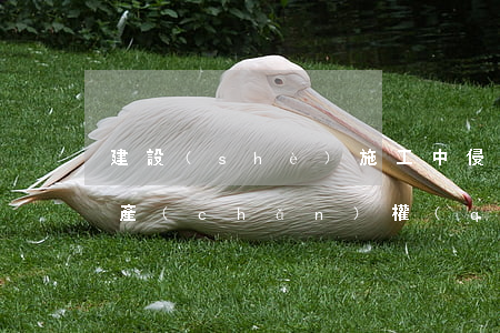 建設(shè)施工中侵害知識(shí)產(chǎn)權(quán)的相關(guān)裁判規(guī)則