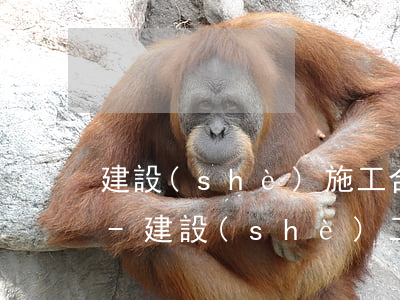 建設(shè)施工合同無效逾期付款利息-建設(shè)工程合同無效逾期利息