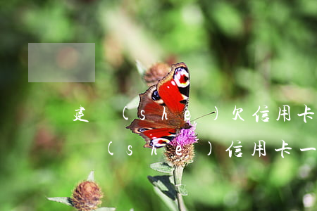 建設(shè)欠信用卡3萬逾期一年(欠建設(shè)信用卡一年沒還了)