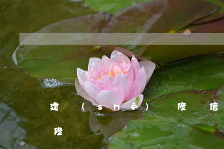 建設(shè)裝修貸信用卡逾期(信用卡 裝修貸)