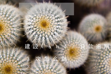 建設(shè)貸款逾期13天(房貸逾期13次怎么辦)