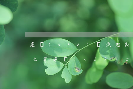 建設(shè)貸款逾期費(fèi)用怎么算(建設(shè)工程逾期付款利息是多少?)