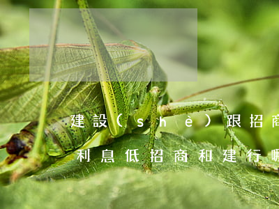 建設(shè)跟招商哪個(gè)信用卡利息低(招商和建行哪個(gè)信用卡好)