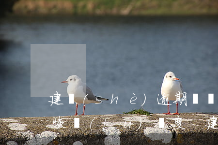 建設(shè)逾期兩個(gè)月還最低恢復(fù)額度-建設(shè)銀行貸款逾期兩天
