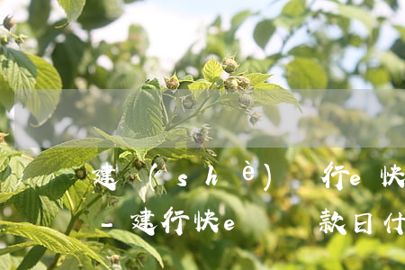 建設(shè)銀行e快貸還款按月還是天-建行快e貸還款日什么時(shí)候