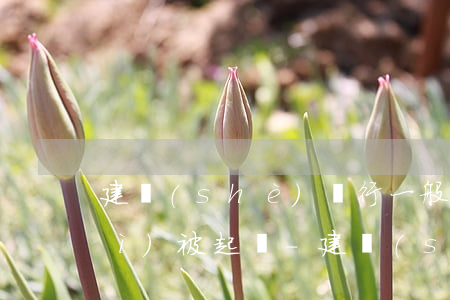 建設(shè)銀行一般逾期多久會(huì)被起訴-建設(shè)銀行一般逾期多久會(huì)被起訴呢
