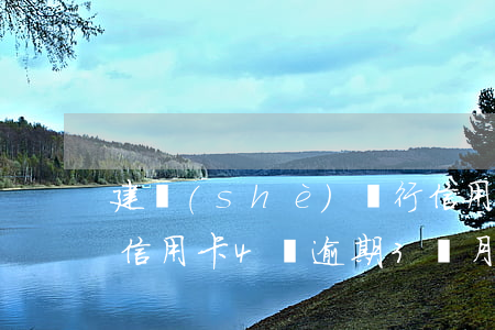 建設(shè)銀行信用卡4萬逾期4個月(信用卡4萬逾期3個月)