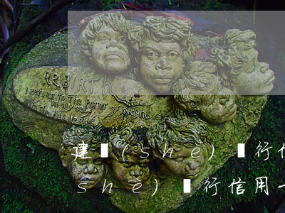 建設(shè)銀行信用卡一萬逾期(建設(shè)銀行信用卡一萬逾期多久會(huì)被起訴坐牢)