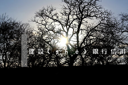 建設(shè)銀行信用卡不還有什么后果