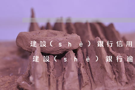 建設(shè)銀行信用卡今年存在逾期嘛(建設(shè)銀行逾期過(guò),以后還可以辦理信用卡嗎)