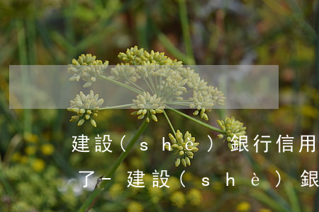 建設(shè)銀行信用卡個性化分期還清了-建設(shè)銀行信用卡個性化分期還清了怎么辦